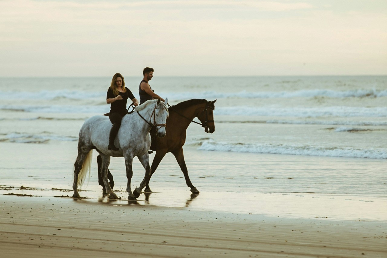 Horse Riding